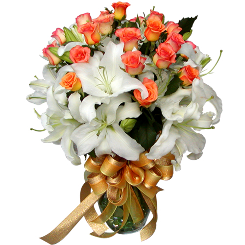 ����ȫ��̲ɺ�