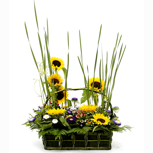 ��۵� �عٶ��ɹٱ���1 �Դϴ�.