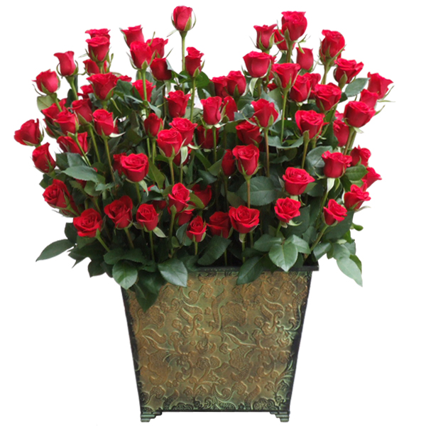 ��۵� 100�������17�Դϴ�.