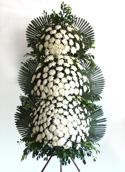 ��۵� ����3��ȭȯ3�Դϴ�.