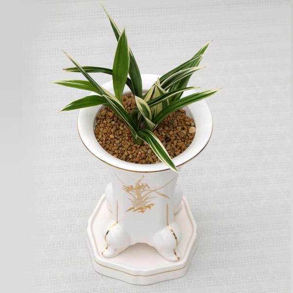 ��۵�   �޸����� �����̹����Դϴ�.