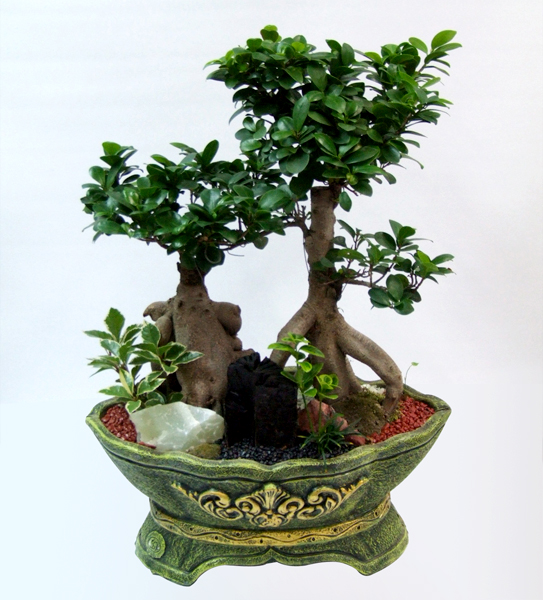 ��۵� �����������2 �Դϴ�.