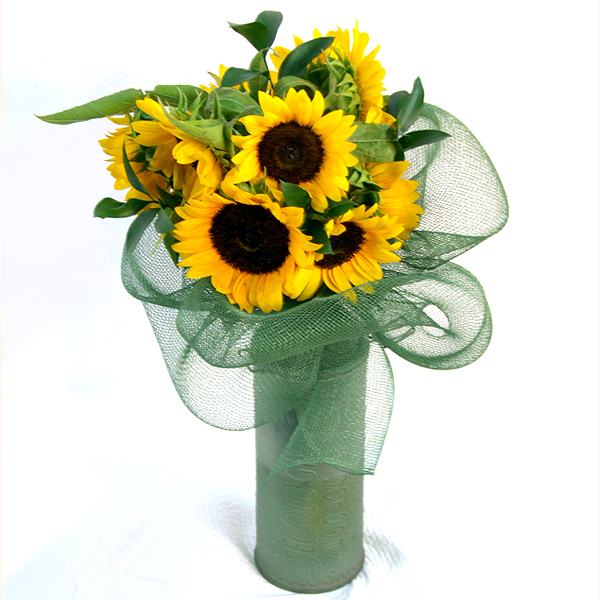 ��۵� �عٶ�� �ɴٹ��Դϴ�.