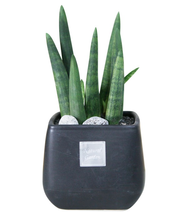 ��ۻ�ǰ�Դϴ�.